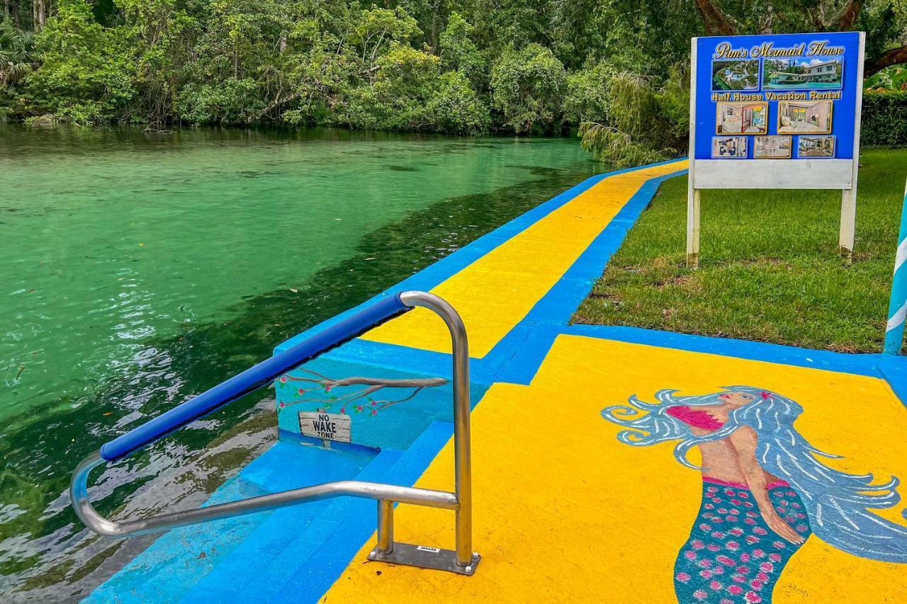 Appartamento Pams Mermaid House With Riverfront Yard And Lanai! Weeki Wachee Esterno foto